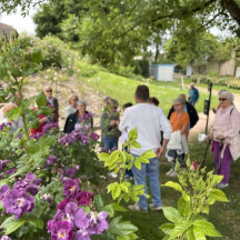 Laissez-vous guider par Tristan lors d’une visite exceptionnelle du jardin de roses aux mille couleurs et parfums
Plus de 75 variétés de roses à admirer : anciennes, modernes, lianes, grimpantes ou buissons… un véritable voyage floral !
Mercredi 27 mai à 14h
Inscription au 03 85 81 10 92
Gratuit