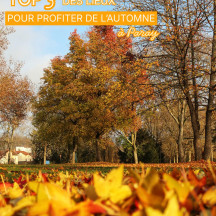 3 spots qui nous font craquer pour Paray en automne
#lautomnecestlabourgogne