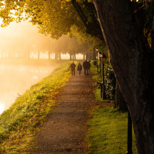 Et si l’automne était la plus belle saison pour (re)découvrir Paray ?
Les arbres se parent de nouvelles couleurs, les balades prennent une autre allure et Paray se laisse admirer autrement…
L.Brivet