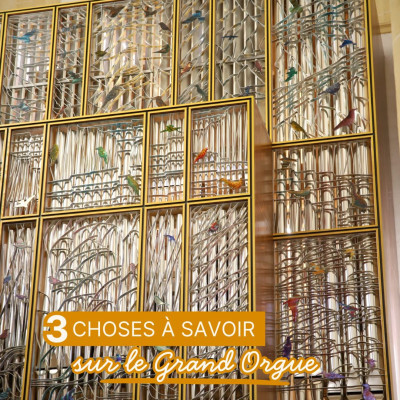 Voici trois choses à savoir sur le Grand Orgue de la Basilique.
Pour l’écouter, vous pouvez assister aux concerts 2026 :
Concert trompette et orgue
Samedi 3 octobre à 20h
Basilique
Tarifs : adulte 22, -18 ans 12
Concert de Noël Orgue et chorale CHUchotis
Dimanche 6 décembre à 17h
Basilique
Tarifs : adulte 25, -18 ans 15
Renseignements au 03 85 81 10 92
Réservations sur le site internet de l’office de tourisme